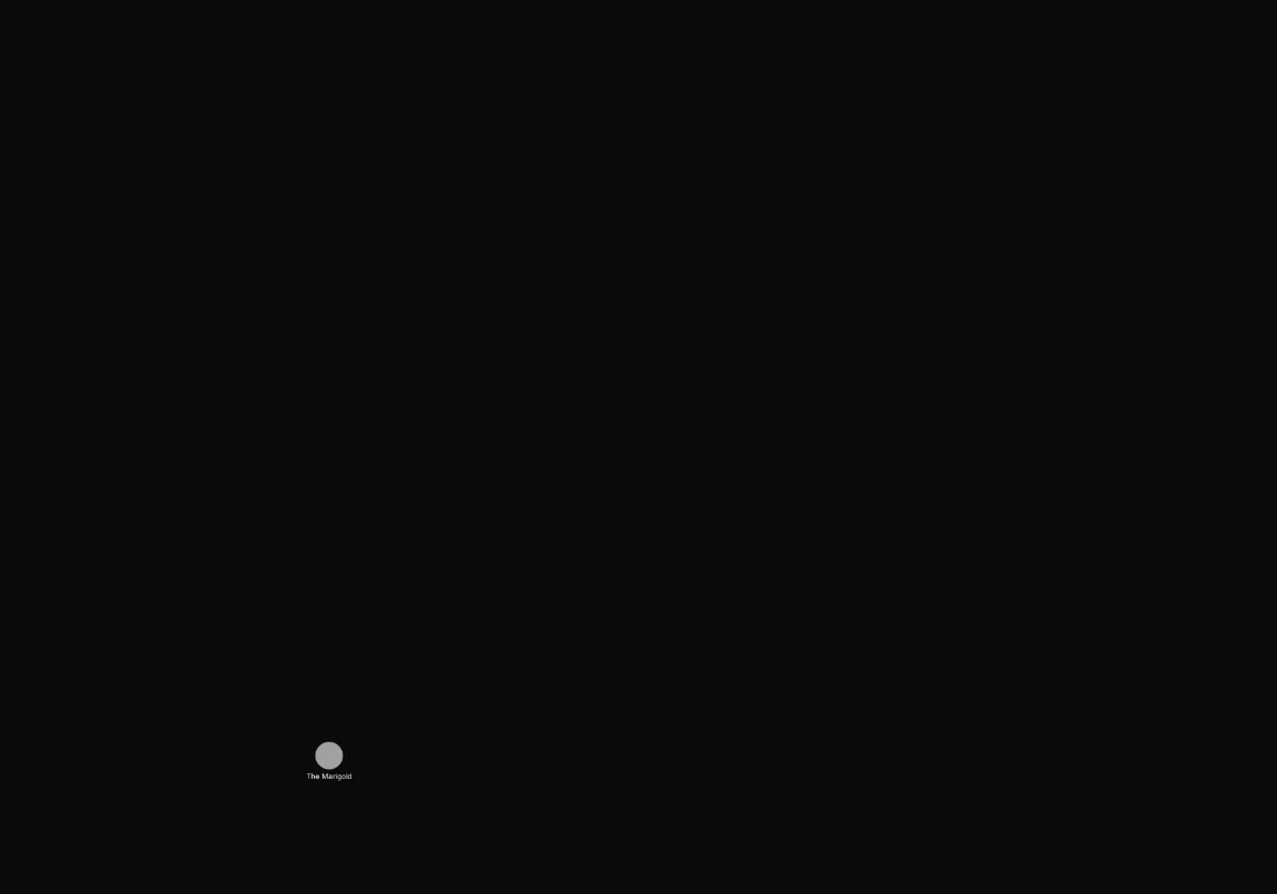 After: Include ship.status IS EMPTY. Shows 1 of 32 nodes.